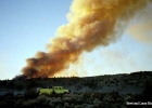 Wildland Firefighting (2001-2004)
